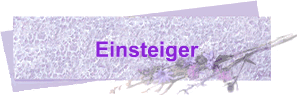 Einsteiger